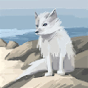 Meet your Posher, Isis